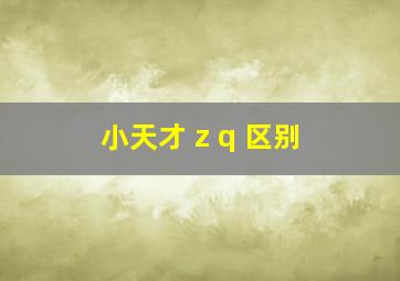 小天才 z q 区别